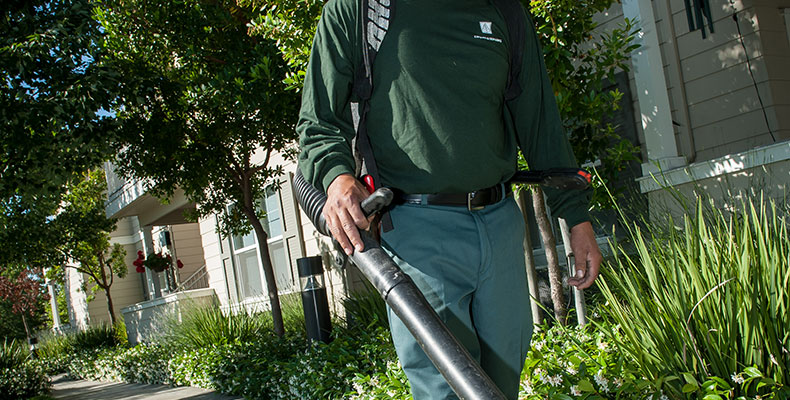 Man using leaf blower