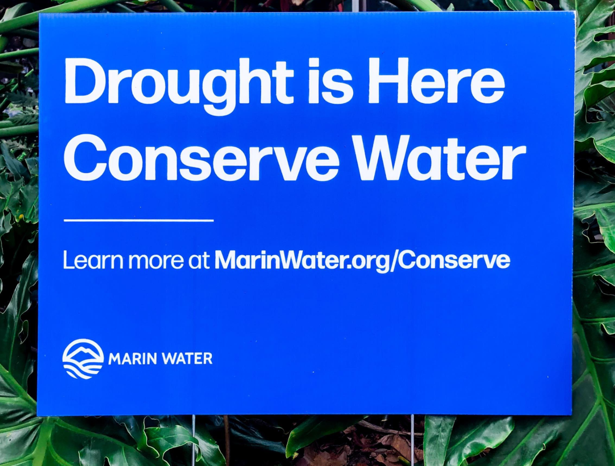 drought is here yard sign
