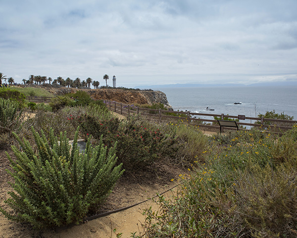 Stay Green, Inc. won First Place for the Pointe Vicente Interpretive Center