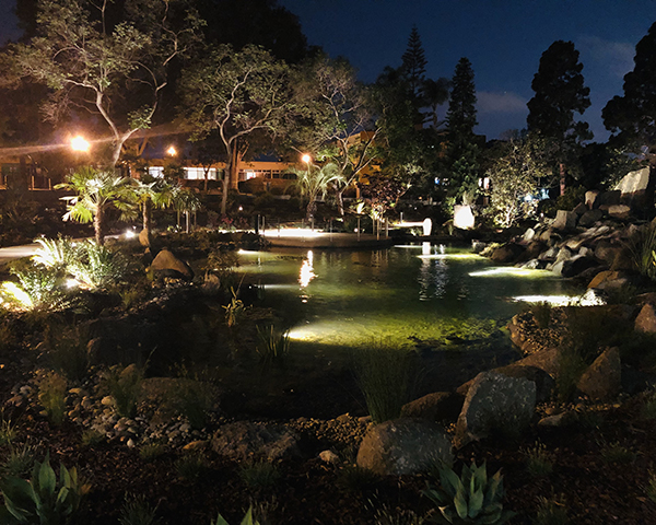MSE Landscape Professionals, Inc. won an Outstanding Achievement award for the Fredericka Manor Water Garden Lighting